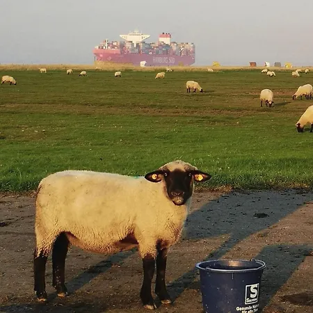 Stilvolles Mit Balkon *