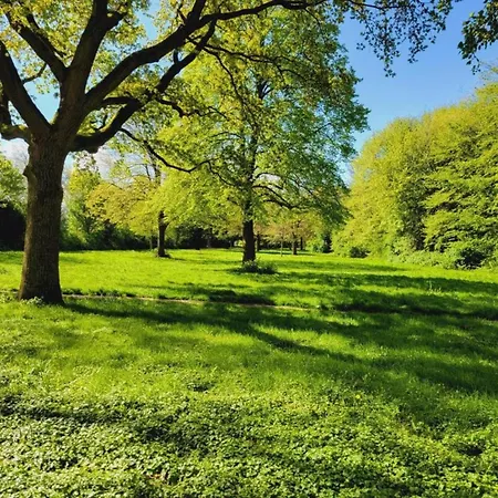 Stilvolles Mit Balkon *